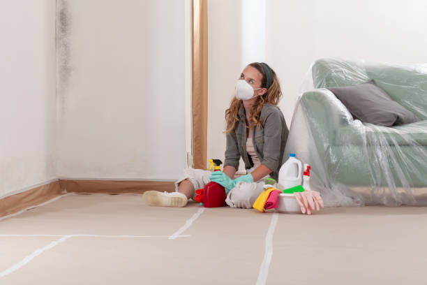 Reliable Mold Remediation contractor in Lakehurst, NJ by Cheap Mold Removal
